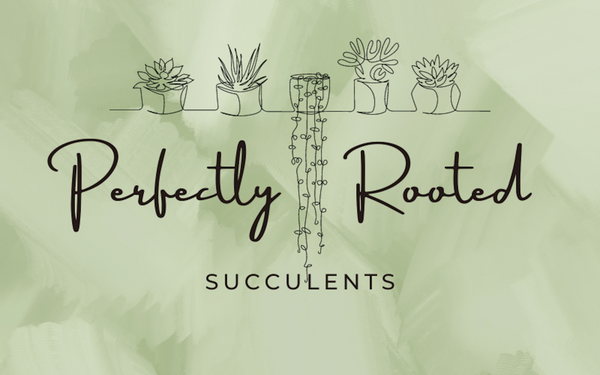 Perfectly Rooted Succulents logo